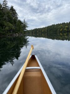 Canoe with paddle on peaceful lake with treelined shores
